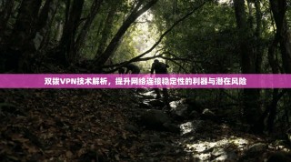 双拨VPN技术解析，提升网络连接稳定性的利器与潜在风险