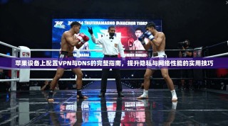 苹果设备上配置VPN与DNS的完整指南，提升隐私与网络性能的实用技巧