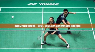 海豚VPN使用指南，安全、稳定与合法合规的网络连接选择