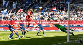 熊猫VPN推荐码揭秘，安全使用与网络自由的平衡之道