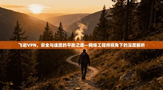 飞岩VPN，安全与速度的平衡之道—网络工程师视角下的深度解析