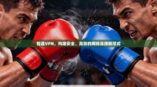 智连VPN，构建安全、高效的网络连接新范式