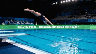 非凡VPN土耳其，解锁网络自由的利器还是潜在风险？
