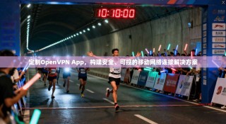 定制OpenVPN App，构建安全、可控的移动网络连接解决方案
