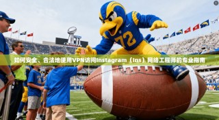 如何安全、合法地使用VPN访问Instagram（Ins）网络工程师的专业指南
