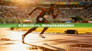 深入解析C什么VPN，网络隐私与合法使用边界探讨