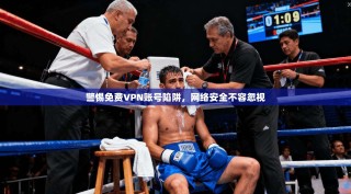 警惕免费VPN账号陷阱，网络安全不容忽视