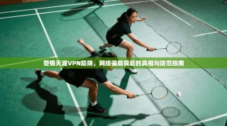 警惕天涯VPN陷阱，网络骗局背后的真相与防范指南