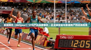 美国网件（Netgear）VPN产品深度解析，企业级安全与家庭用户的选择指南