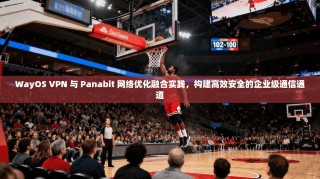 WayOS VPN 与 Panabit 网络优化融合实践，构建高效安全的企业级通信通道