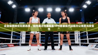 企业级网络优化新选择，如何通过合理配置VPN套餐提升远程办公效率与安全性