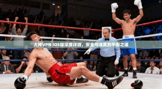 大神VPN iOS版深度评测，安全与速度的平衡之道