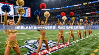 如何通过安全可靠的VPN观看动漫？网络工程师的实用指南