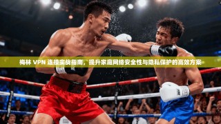 梅林 VPN 连接实战指南，提升家庭网络安全性与隐私保护的高效方案