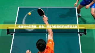 电脑VPN付费版，安全、稳定与隐私保护的明智之选
