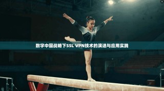 数字中国战略下SSL VPN技术的演进与应用实践