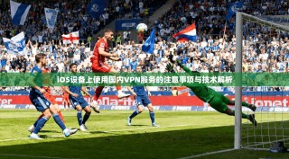 iOS设备上使用国内VPN服务的注意事项与技术解析