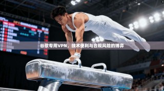 谷歌专用VPN，技术便利与合规风险的博弈