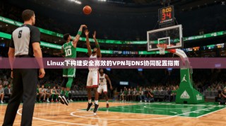Linux下构建安全高效的VPN与DNS协同配置指南