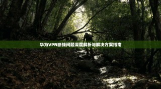 华为VPN断线问题深度解析与解决方案指南