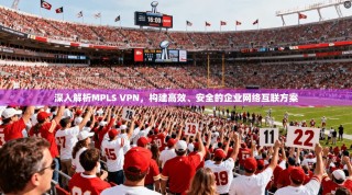 深入解析MPLS VPN，构建高效、安全的企业网络互联方案