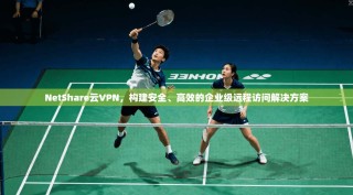 NetShare云VPN，构建安全、高效的企业级远程访问解决方案