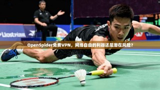 OpenSpider免费VPN，网络自由的利器还是潜在风险？