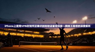 iPhone上使用VPN时如何正确识别和验证鉴定信息—网络工程师的深度解析