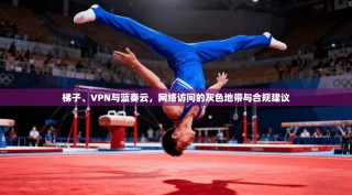 梯子、VPN与蓝奏云，网络访问的灰色地带与合规建议