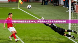 手把手教你搭建蜂巢VPN，从零开始构建安全私密网络通道