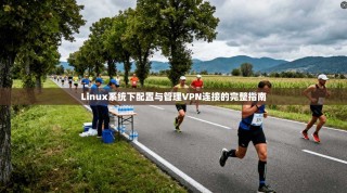 Linux系统下配置与管理VPN连接的完整指南