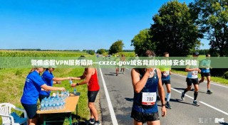 警惕虚假VPN服务陷阱—cxzcz.gov域名背后的网络安全风险