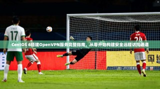 CentOS 6搭建OpenVPN服务完整指南，从零开始构建安全远程访问通道