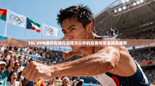 SSL VPN插件在现代远程办公中的应用与安全挑战解析
