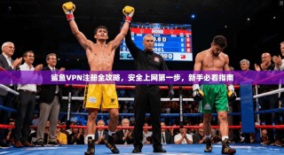 鲨鱼VPN注册全攻略，安全上网第一步，新手必看指南