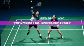 警惕91VPN免费账号陷阱，网络安全隐患与合法使用建议