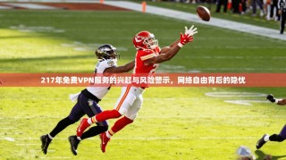 217年免费VPN服务的兴起与风险警示，网络自由背后的隐忧
