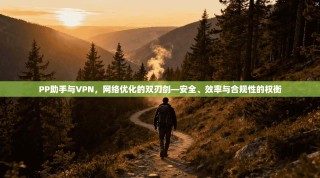 PP助手与VPN，网络优化的双刃剑—安全、效率与合规性的权衡