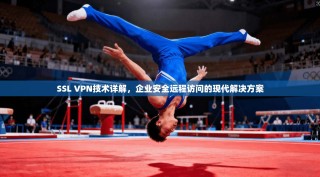 SSL VPN技术详解，企业安全远程访问的现代解决方案