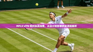 MPLS VPN 规划实战指南，从设计到部署的全流程解析