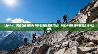劍鱼VPN，网络自由的隐形守护者还是潜在风险？从技术视角解析其安全性与合法性
