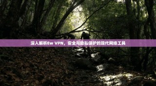 深入解析Ew VPN，安全与隐私保护的现代网络工具