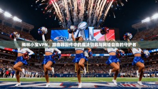 梅林小宝VPN，路由器固件中的魔法钥匙与网络自由的守护者