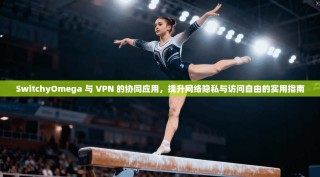 SwitchyOmega 与 VPN 的协同应用，提升网络隐私与访问自由的实用指南