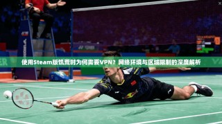 使用Steam版饥荒时为何需要VPN？网络环境与区域限制的深度解析
