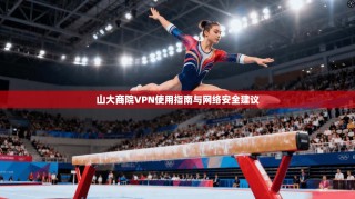 山大商院VPN使用指南与网络安全建议