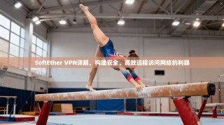 SoftEther VPN详解，构建安全、高效远程访问网络的利器