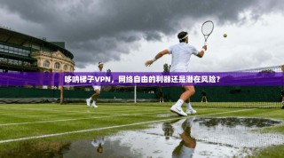 哆呐梯子VPN，网络自由的利器还是潜在风险？