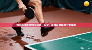 如何选择优质VPN服务，安全、速度与隐私的三重保障