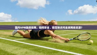 国内VPN选择指南，如何安全、稳定地访问全球网络资源？